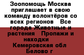 Зоопомощь.Москва приглашает в свою команду волонтёров со всех регионов - Все города Животные и растения » Пропажи и находки   . Кемеровская обл.,Белово г.